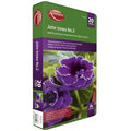 Ambassador Peat Free John Innes No.2 Compost 10 Litres Potting On Plants