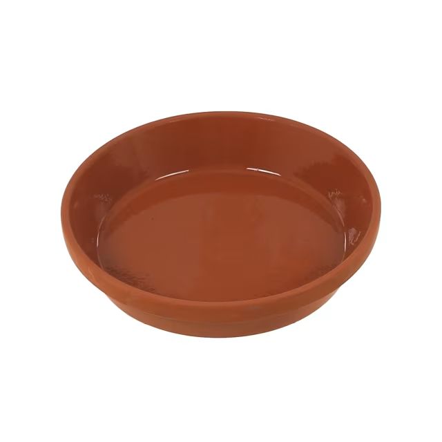 Woodlodge 10in Glazed Terracotta Plant Saucer