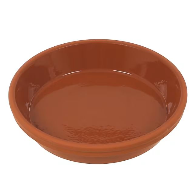 Woodlodge 12in Glazed Terracotta Plant Saucer