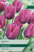Negrita Tulip Bulbs - Deep Pink Tulip with Strong Stems, April to May
