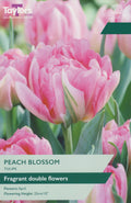 Peach Blossom Tulip Bulbs - Fragrant Double Pink Tulip, April Flowering