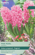 Hyacinth Pink Pearl Prepared Bulbs - Fragrant Pink Flowers from January