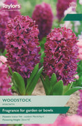 Hyacinth Woodstock Bulbs - Deep Pink Fragrant Flowers, February to April