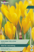Crocus Golden Yellow Bulbs - Naturalising Yellow Flowers, March to April