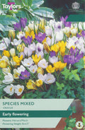 Crocus Large Flowering Mixed Bulbs - White, Yellow & Purple Mix, March to April